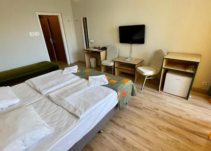 Hotel Magistern Konferencia Es Wellnesshotel Siófok